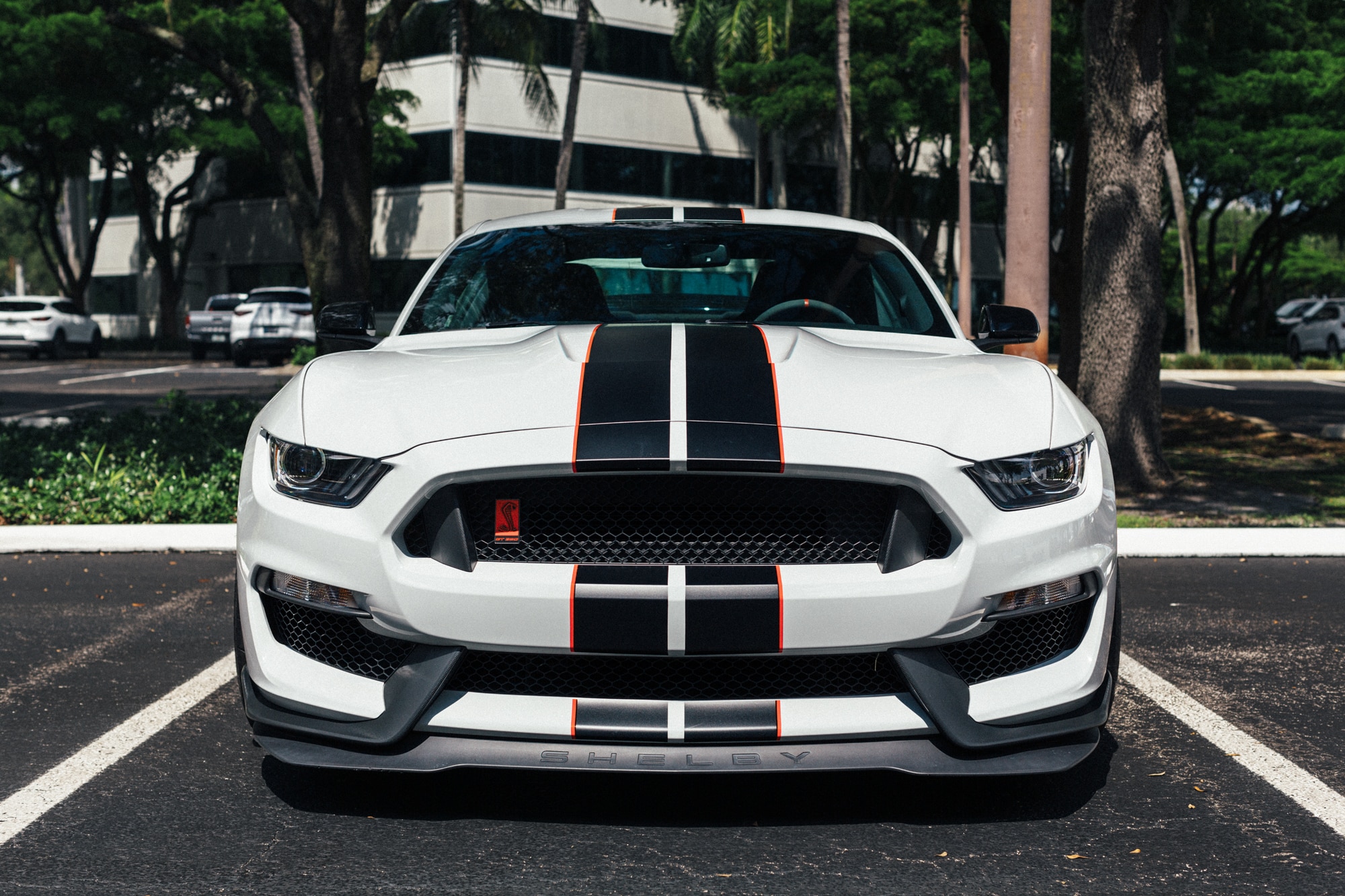 2016 Ford Shelby GT350R (S-197 II) | 1 of 172 in Avalanche Gray | Flat-Plane V8 | Carbon Fiber Wheels | 6-Speed Manual | Factory Recaros | Brembo BBK