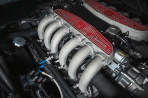 DSC_2251