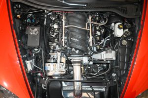 DSC_2920
